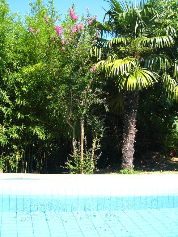 Apartment Apollonio ปอร์โตรอซ ห้อง รูปภาพ
